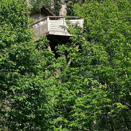 Sherwood Tree Bed and Breakfast Étretat Esterno foto