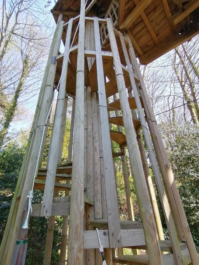 Bed & Breakfast Sherwood Tree *